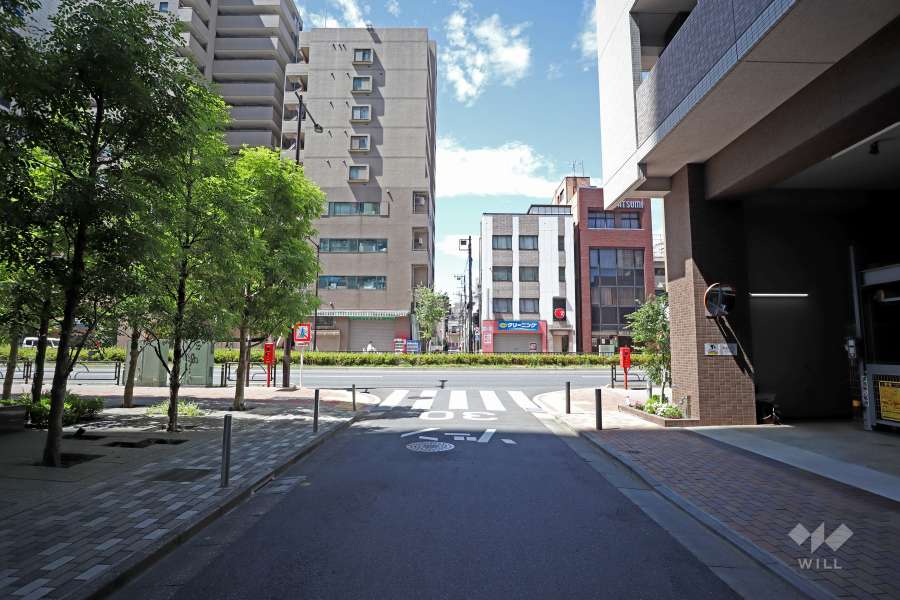 敷地西側の前面道路