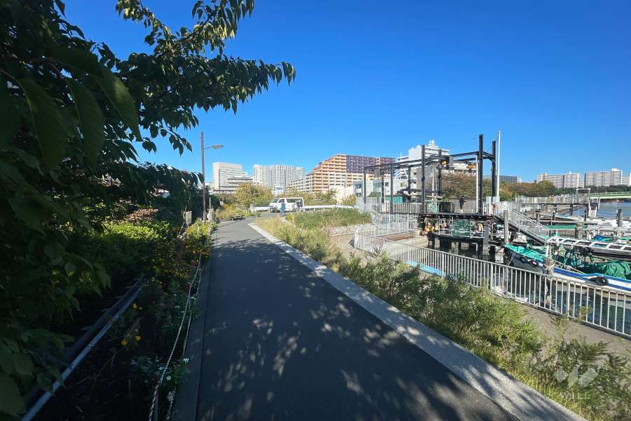 敷地東側の前面道路（南側から）