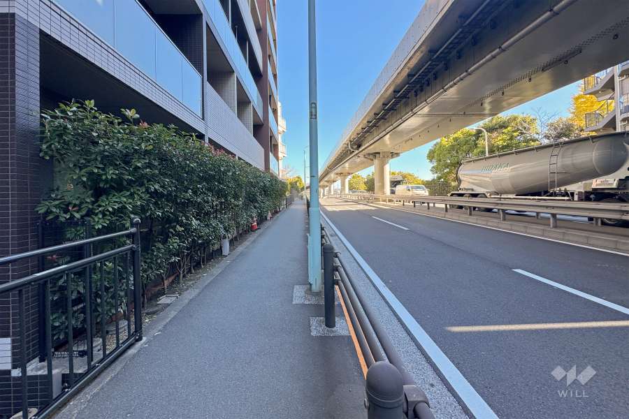 敷地南側の前面道路（西側から）