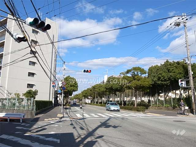 敷地東側の前面道路。バス停が目の前にあります。