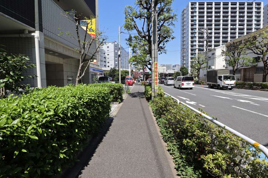 敷地東側の前面道路（南側から）