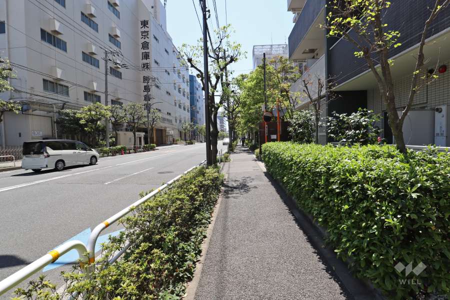 敷地東側の前面道路（北側から）