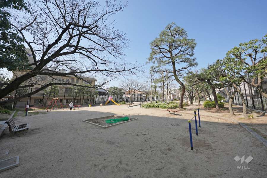 敷地の西側には公園があります。
