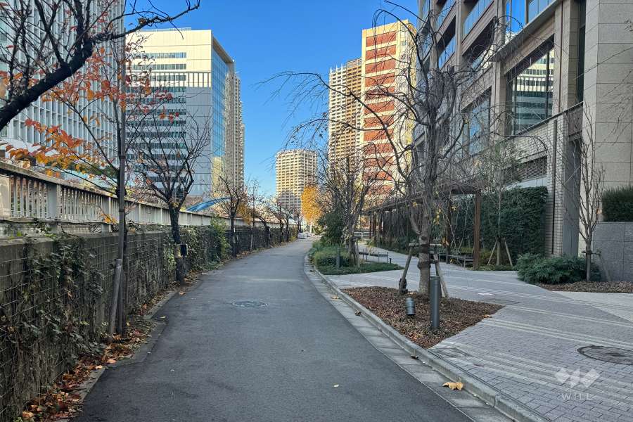 敷地の南西側前面道路（南東側から）