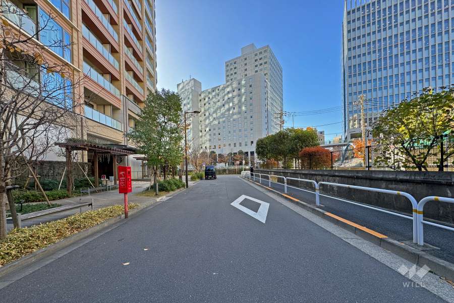 敷地の西側前面道路（北側から）