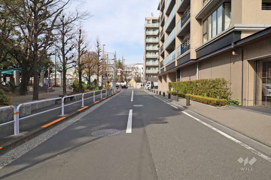 敷地西側の前面道路(南側から)
