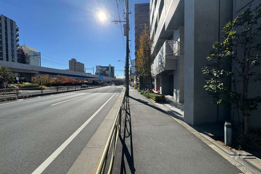 敷地の東側道路（北側から）