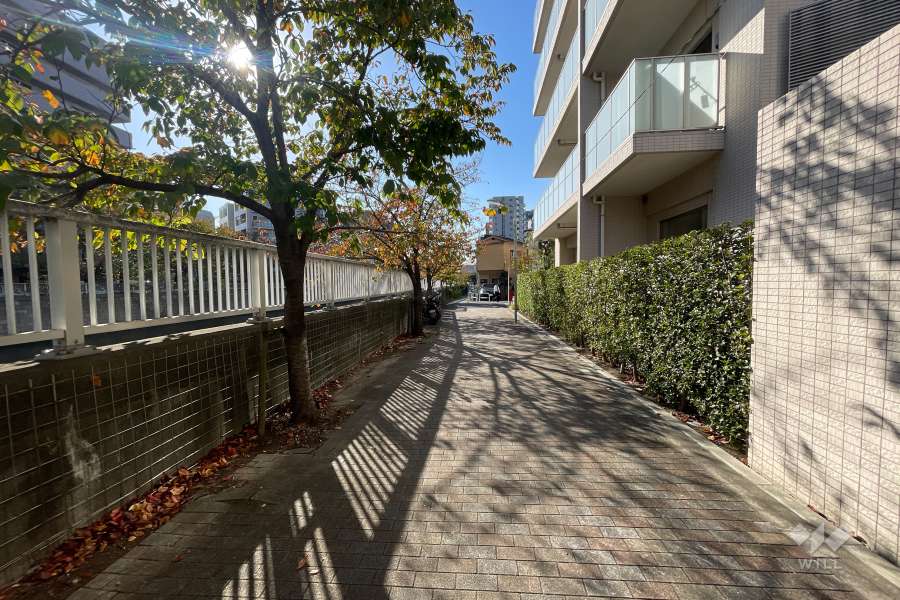 敷地南側の前面道路