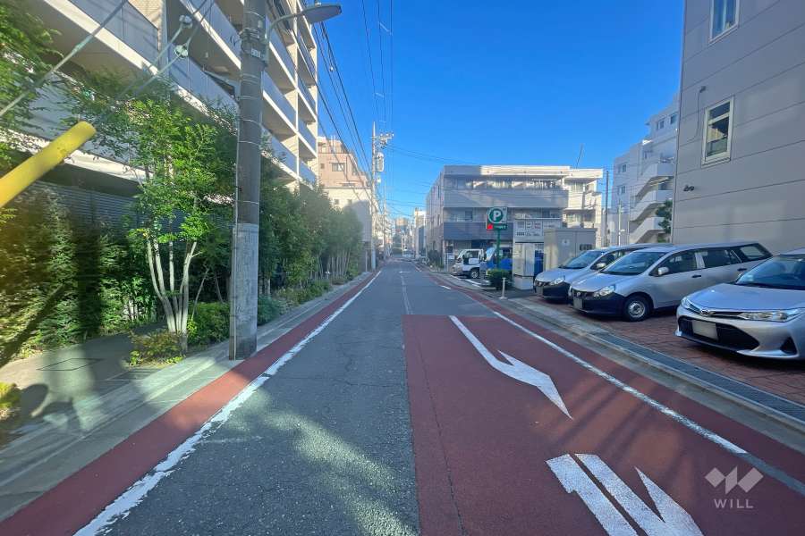 敷地南側の前面道路（西側から）