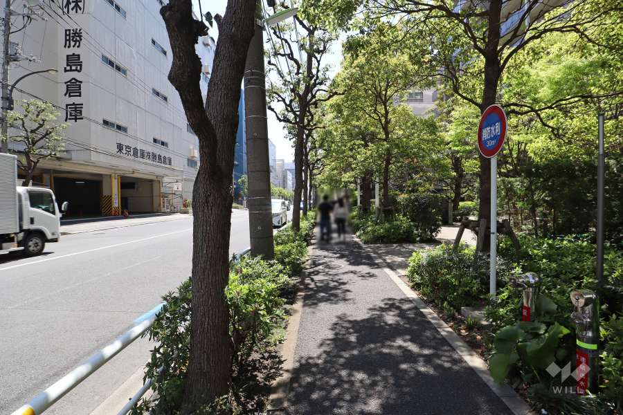 敷地東側の前面道路