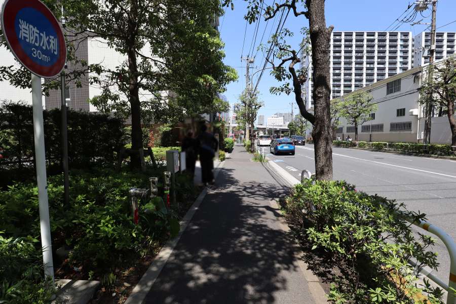 敷地東側の前面道路　
