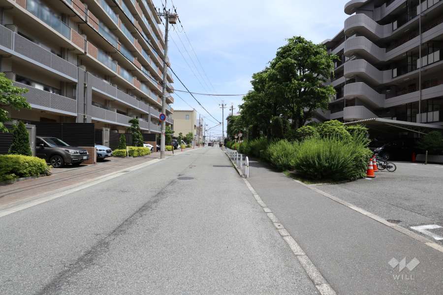敷地北側の前面道路（西側から）