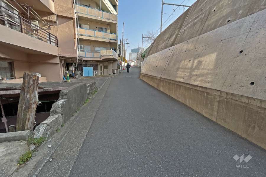 敷地西側の前面道路（北側から）