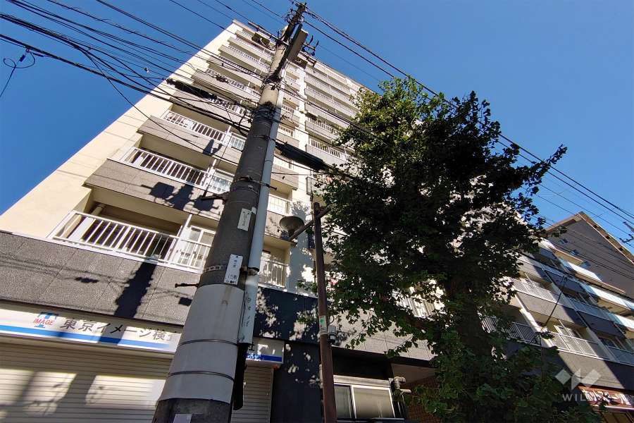 戸越ハイツの外観（南側から）