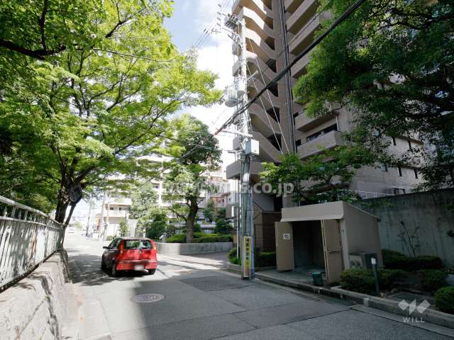 敷地北側の前面道路。街路樹が並ぶ歩道付きの道です。