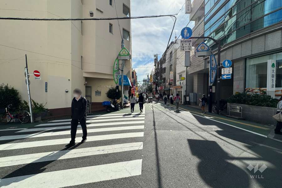 敷地西側の前面道路（北側から）