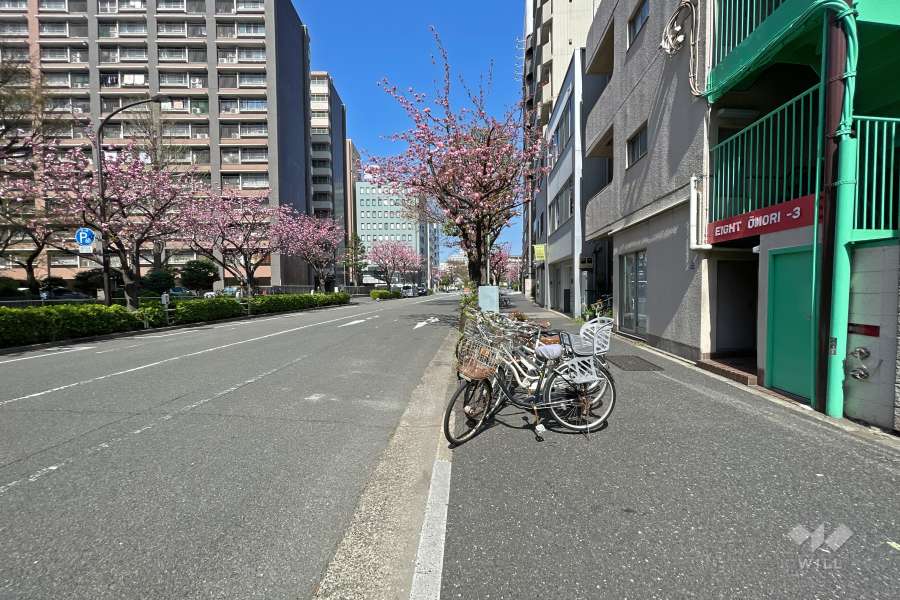 敷地南西側の前面道路（南東側から）