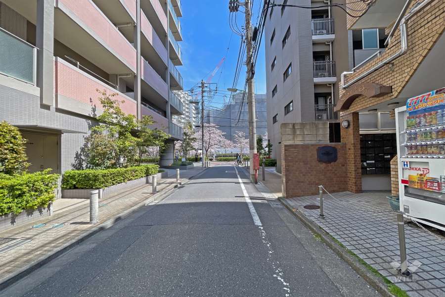 敷地北西側前面道路