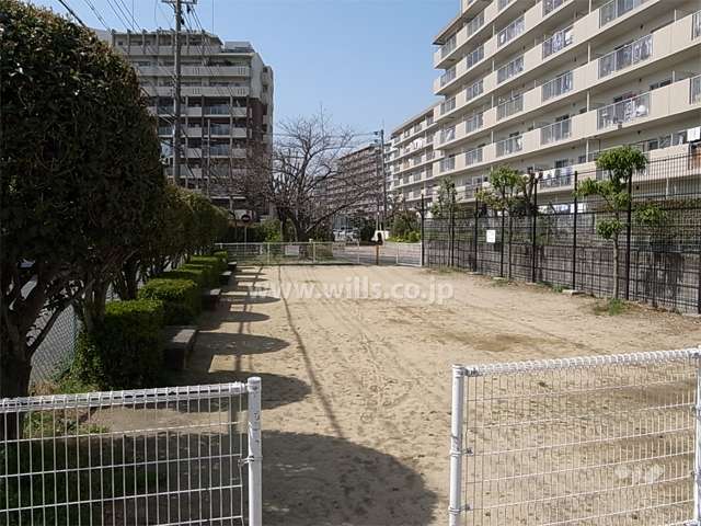 敷地南側の広場