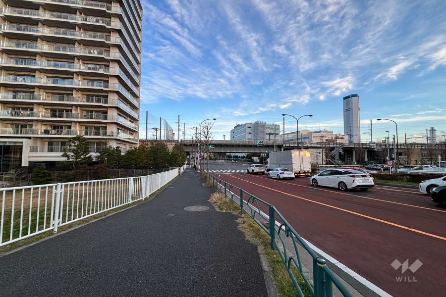 敷地南側の前面道路（西側から）