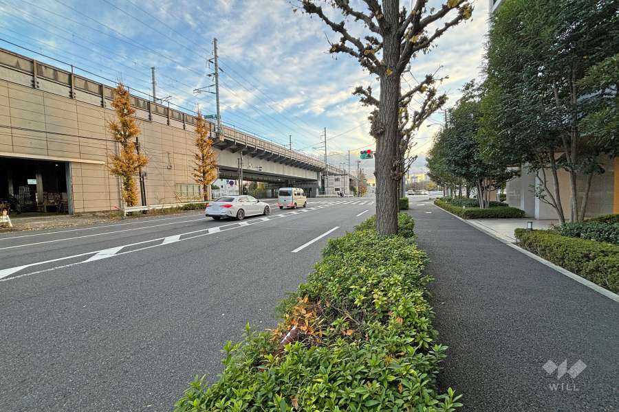 敷地東側の前面道路（北側から）