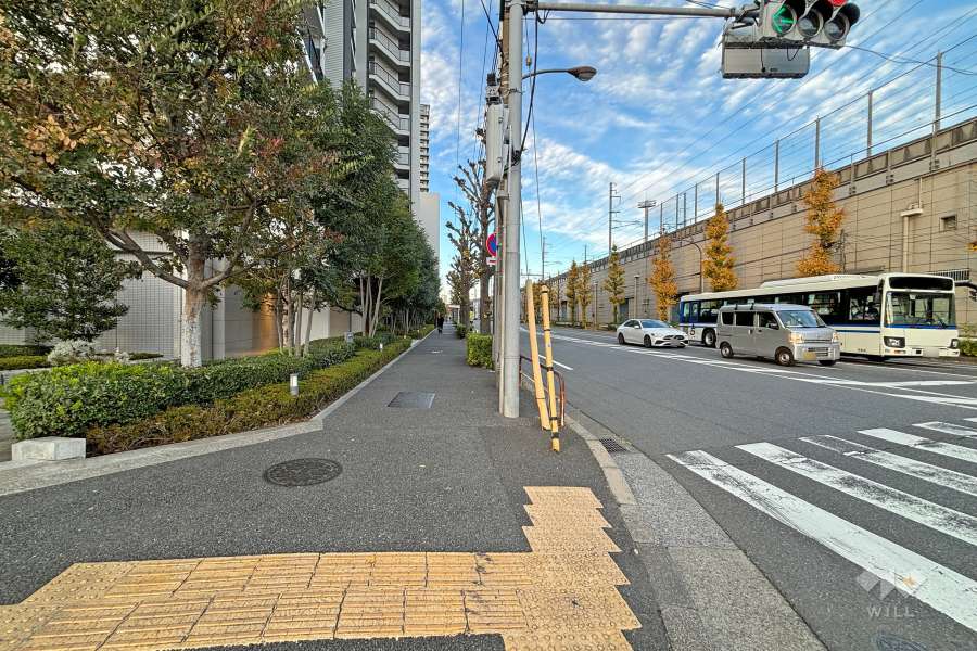敷地東側の前面道路(南側から)