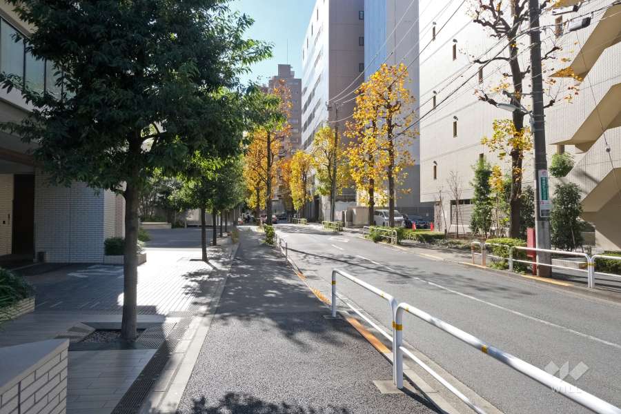 敷地北西側の前面道路（北東側から）