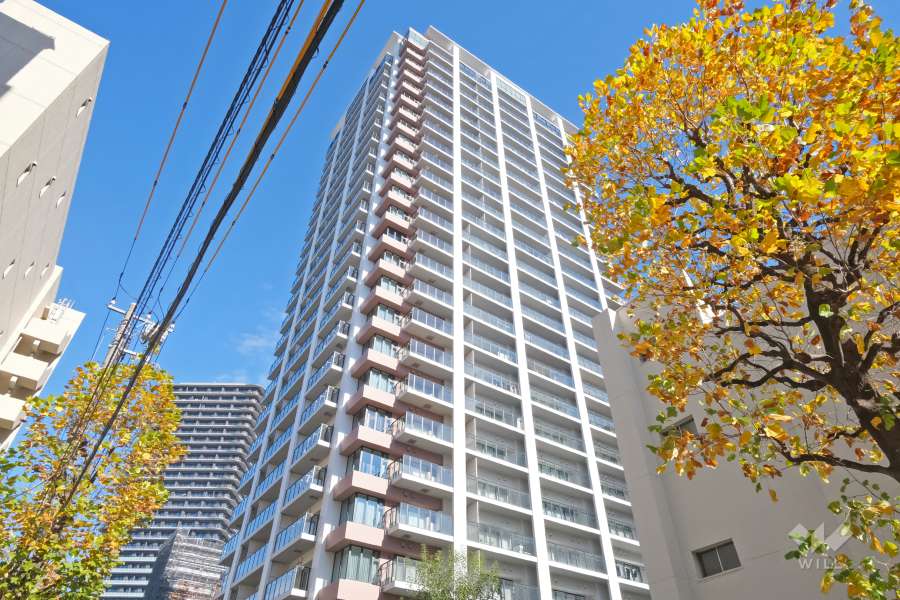 シティタワー目黒の外観（南西側から）