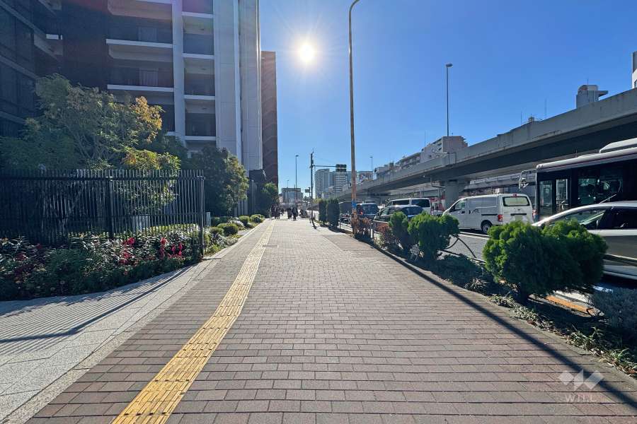 敷地西側の前面道路（北側から）