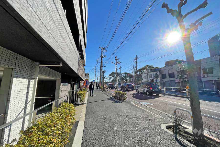 敷地南側の前面道路（西側から）