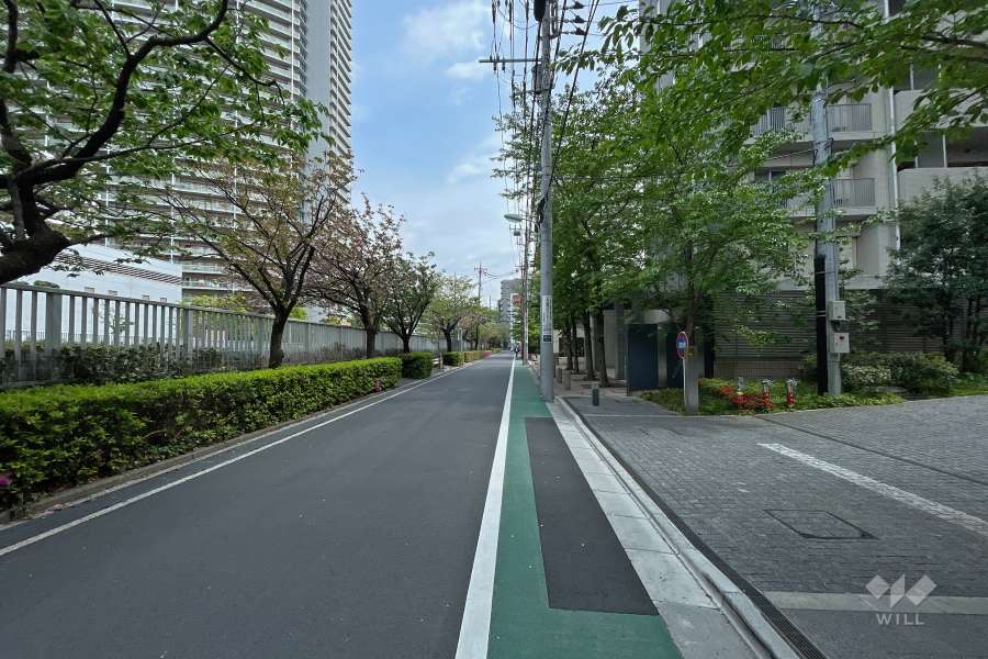敷地北東側の前面道路（北西側から）