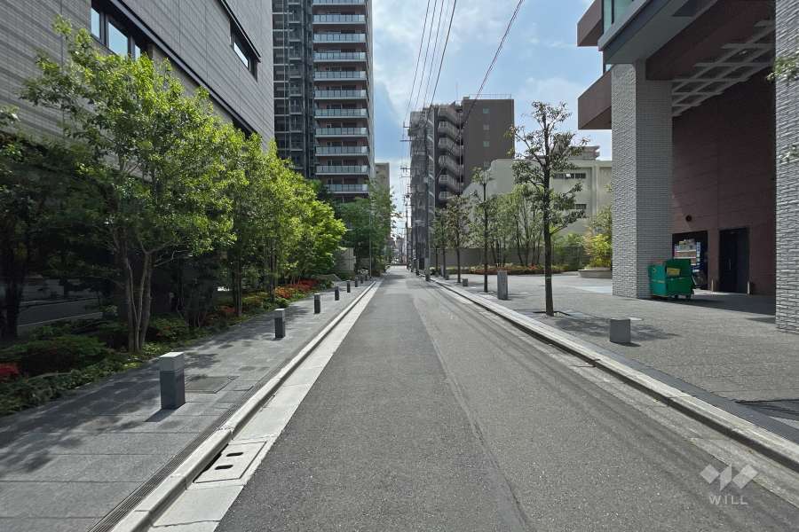 敷地北西側の前面道路（北東側から）