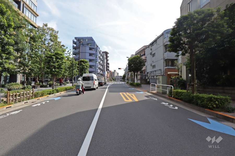 敷地西側の前面道路（北側から）