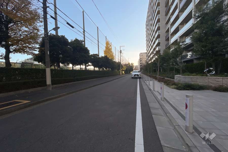 敷地南東側の前面道路（北東側から）