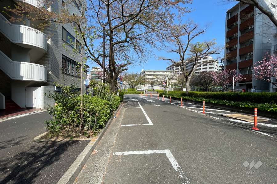 敷地北側の前面道路（東側から）