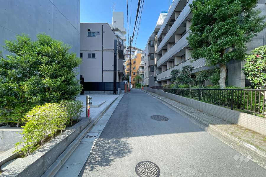 敷地西側の前面道路（北側から）