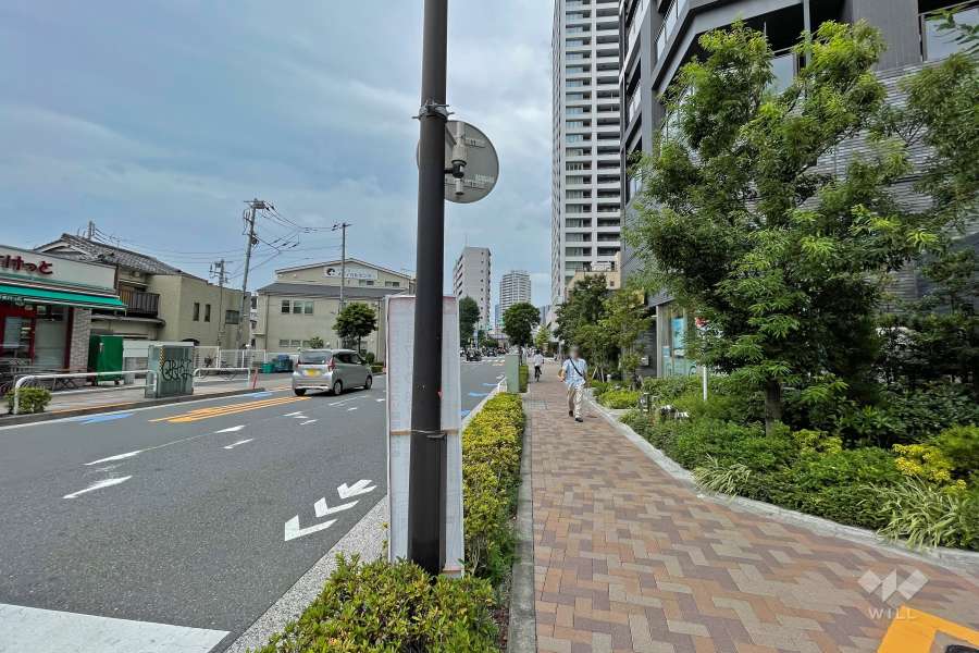 敷地西側の前面道路（南側から）