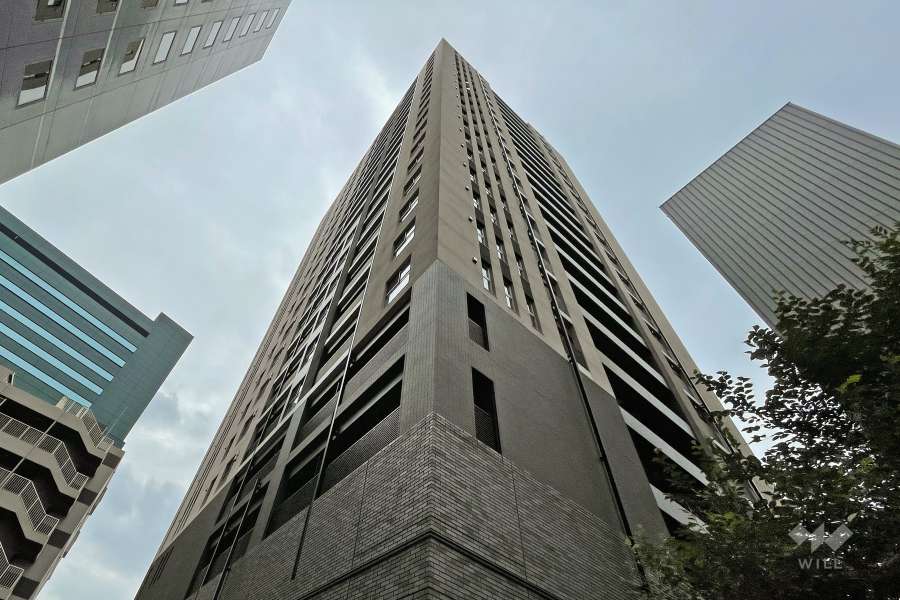 クレヴィアタワー大井町ザレジデンスの外観（北東側から）