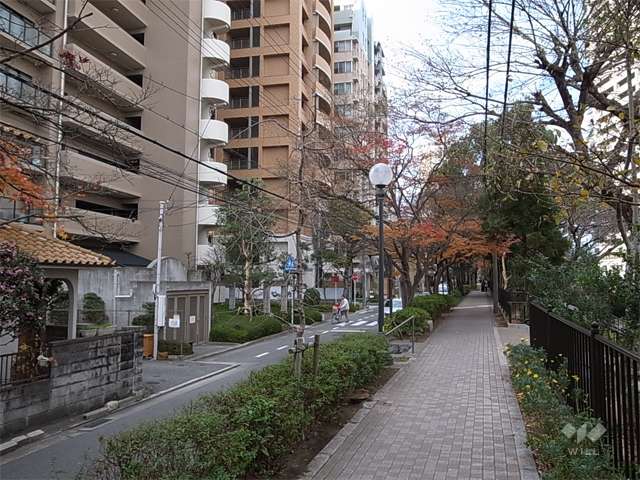 敷地北側の通り。街路樹がきれいで、歩道があります。