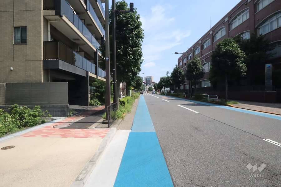 敷地南東側の前面道路　