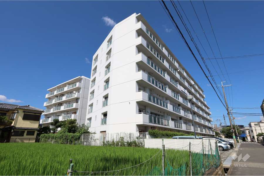 伊丹野間ダイヤハイツの外観（南西側から）