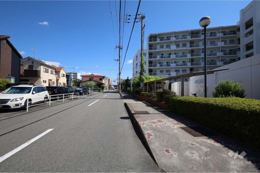 敷地東側の前面道路（北側から）