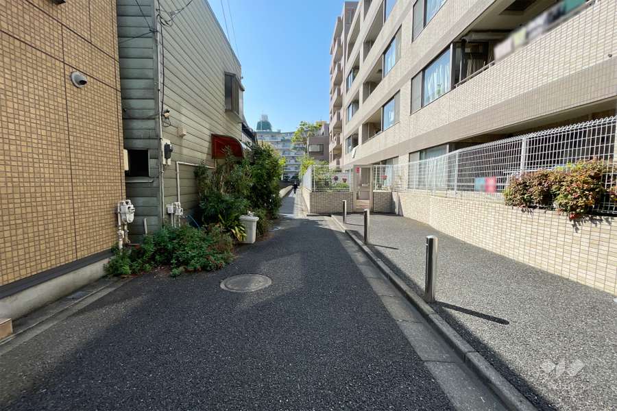 敷地北側の前面道路