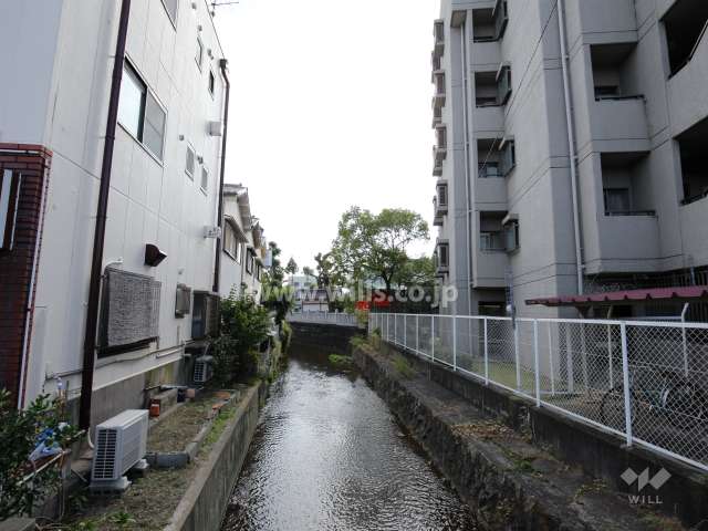 敷地内の植栽スペース