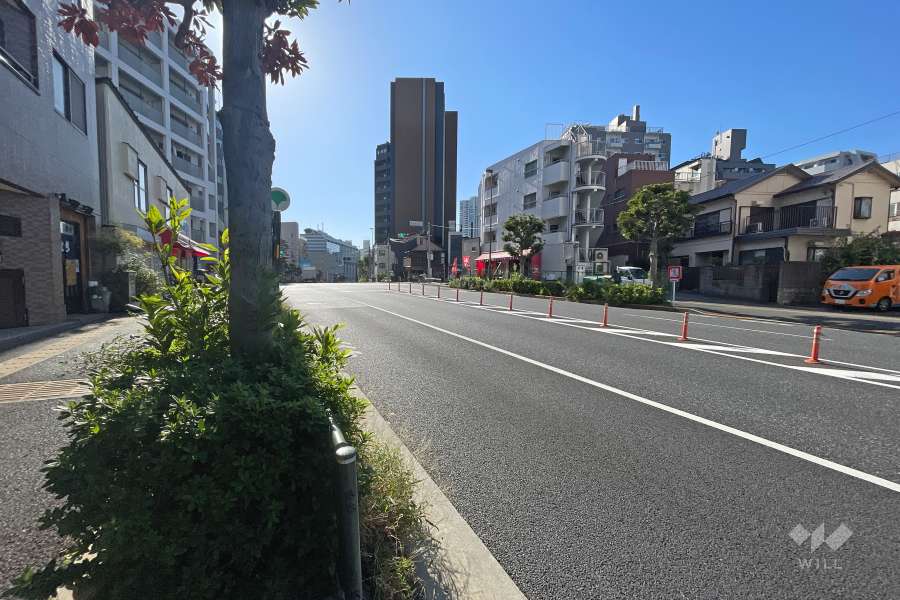 敷地北西側の前面道路（北東側から）