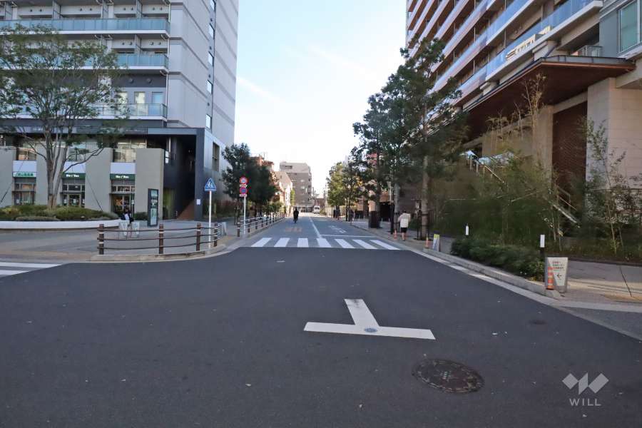 敷地南西側の前面道路（北西側から）