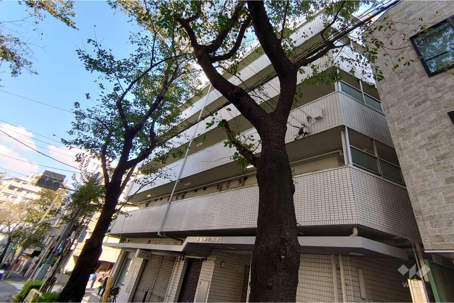 トップ不動前No.1の外観（北西側から）