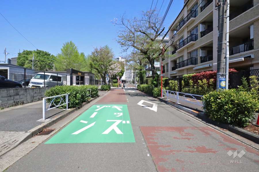 敷地西側の前面道路（南側から）