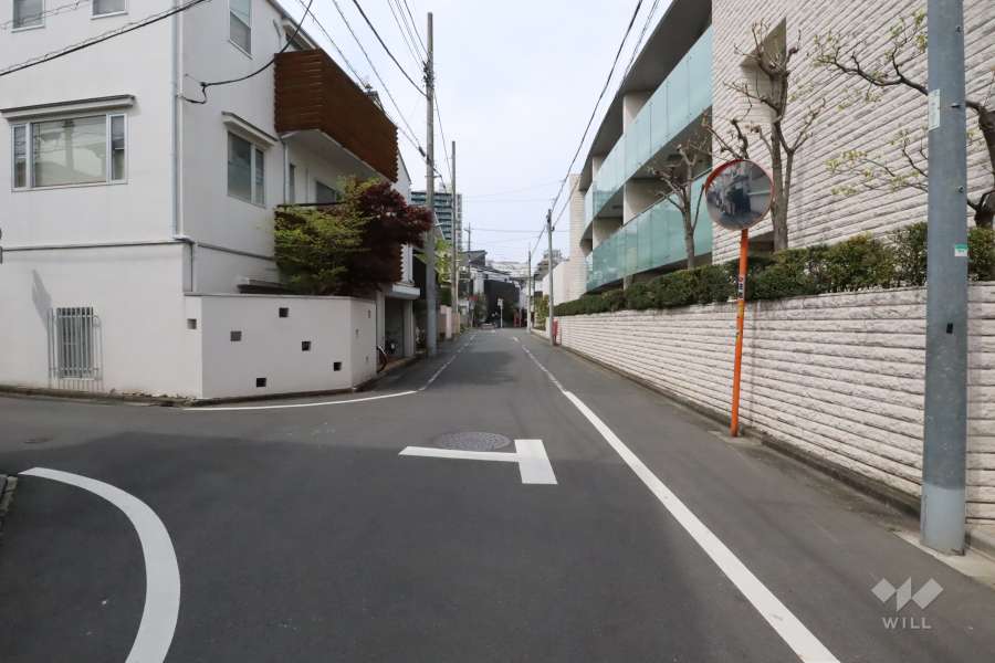 敷地西側の前面道路（南側から）