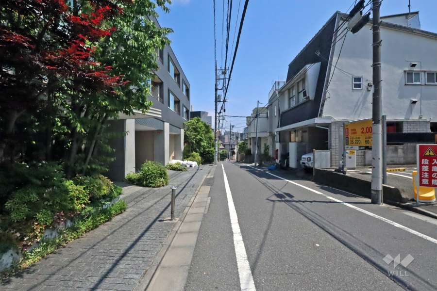 敷地南側の前面道路(西側から)